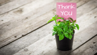 3月の実習のお礼状を時候の挨拶や感謝の言葉で作り上げよう！例文と書き方を詳しく紹介