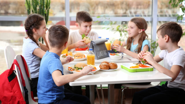給食試食会の目的や狙いは？挨拶や案内の方法を解説！小学校や幼稚園や保育園で開催